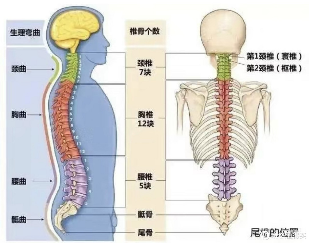 “内卷”的当下，人体工学椅关注新品，必定有惊喜！1000左右的价位，2000+的配置你值得拥有！