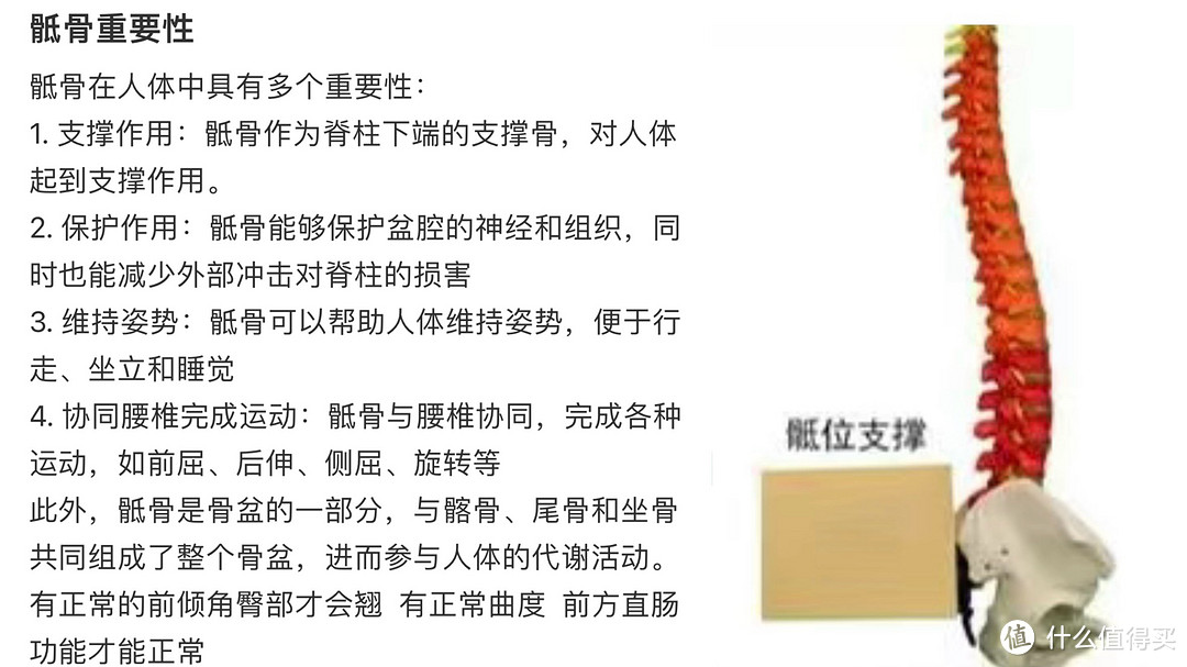 “内卷”的当下，人体工学椅关注新品，必定有惊喜！1000左右的价位，2000+的配置你值得拥有！