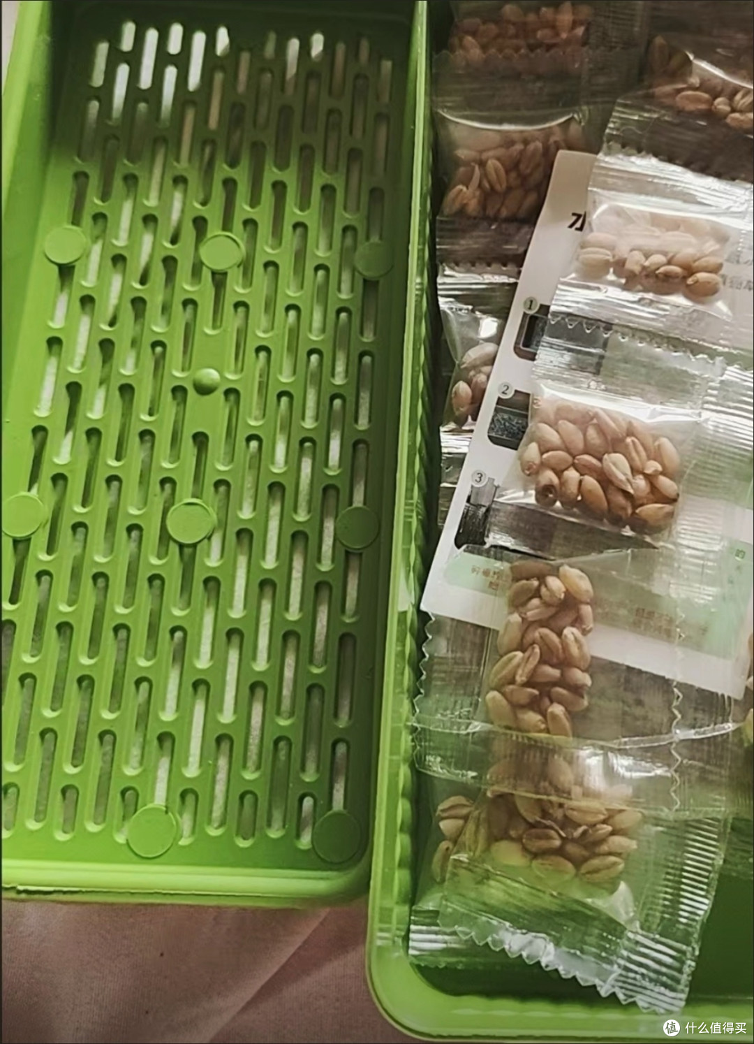 狗狗也能吃草?揭秘宠物草的神奇功效!