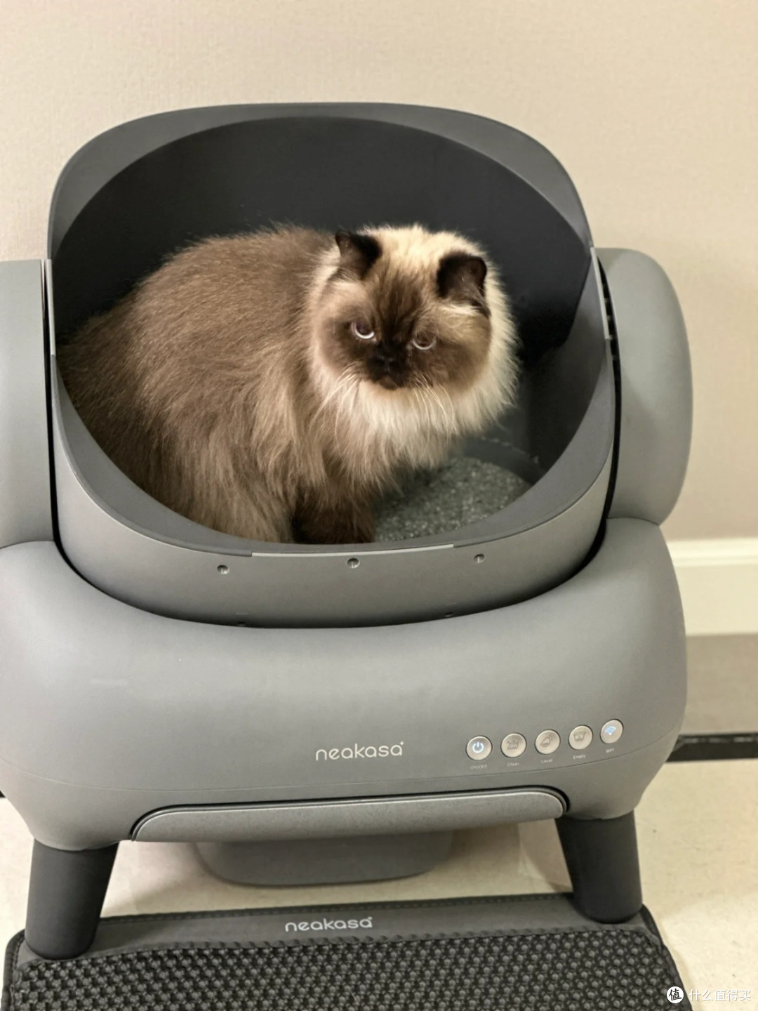 猫奴的福音:宜宝neakasa猫砂盆