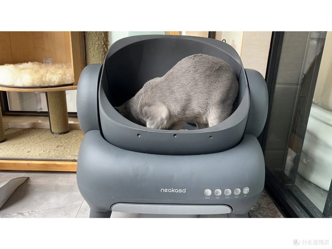 猫奴的福音:宜宝neakasa猫砂盆