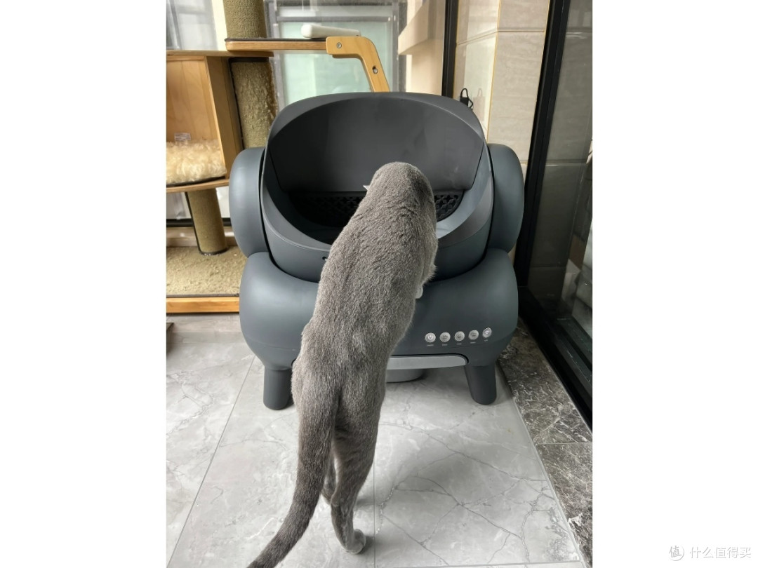 猫奴的福音:宜宝neakasa猫砂盆