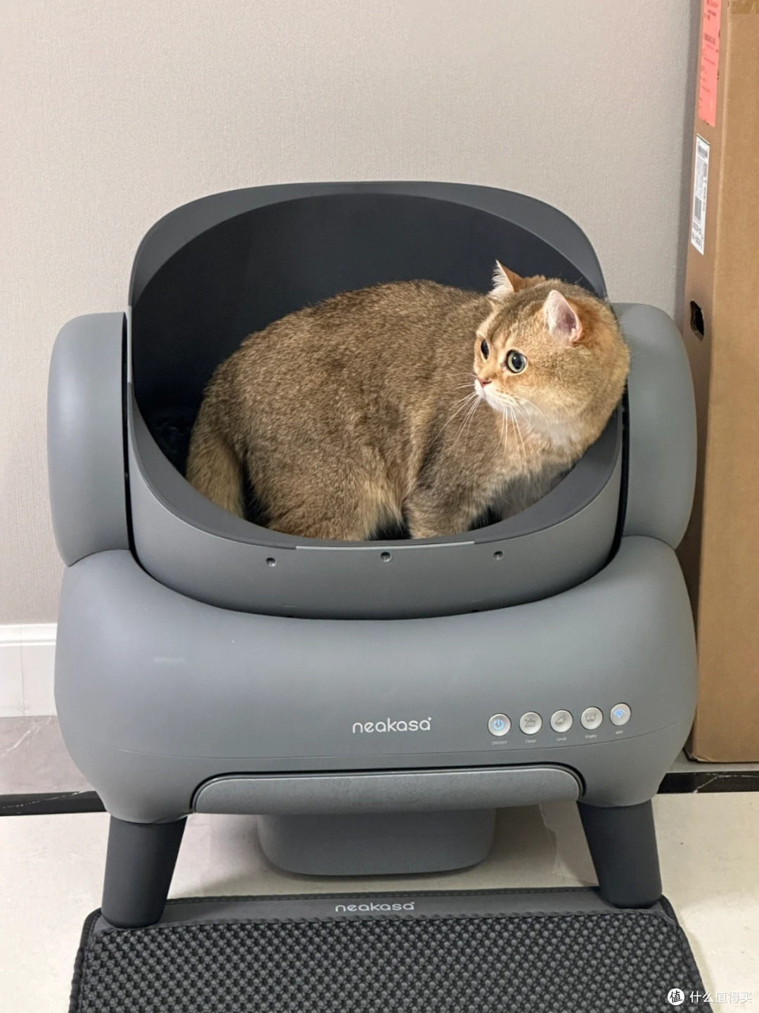 猫奴的福音:宜宝neakasa猫砂盆