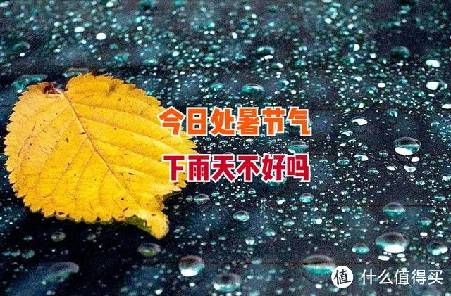 今日处暑，老话：“处暑下雨万人愁”，下雨不好吗？看农谚咋说