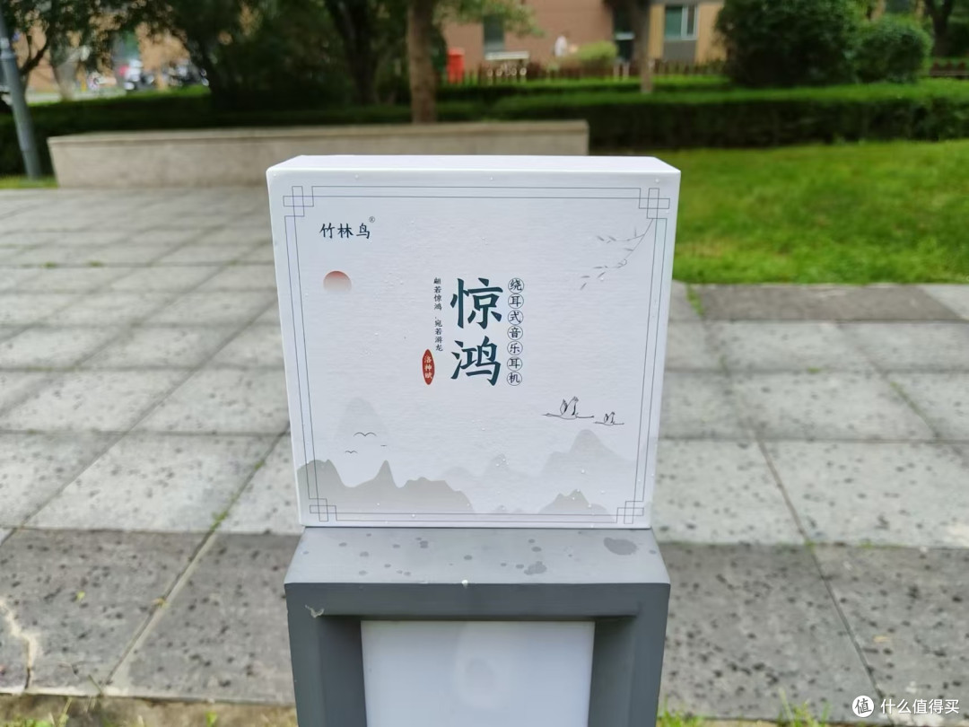 竹林鸟惊鸿耳机 —— 音韵流转,惊鸿一瞥