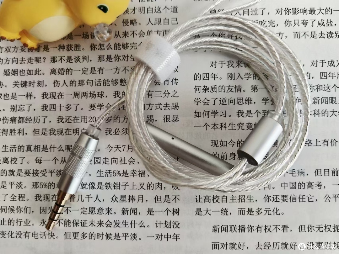 竹林鸟惊鸿耳机 —— 音韵流转,惊鸿一瞥