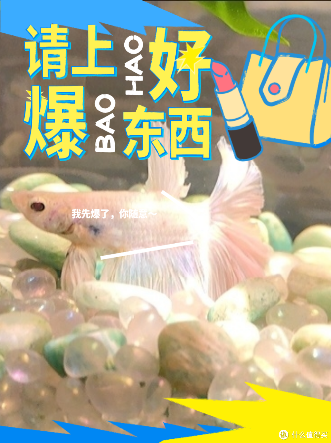 月光下的梦幻水族馆！月光石鱼缸造景，你值得拥有！