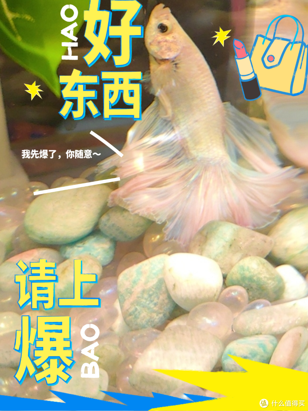 月光下的梦幻水族馆！月光石鱼缸造景，你值得拥有！