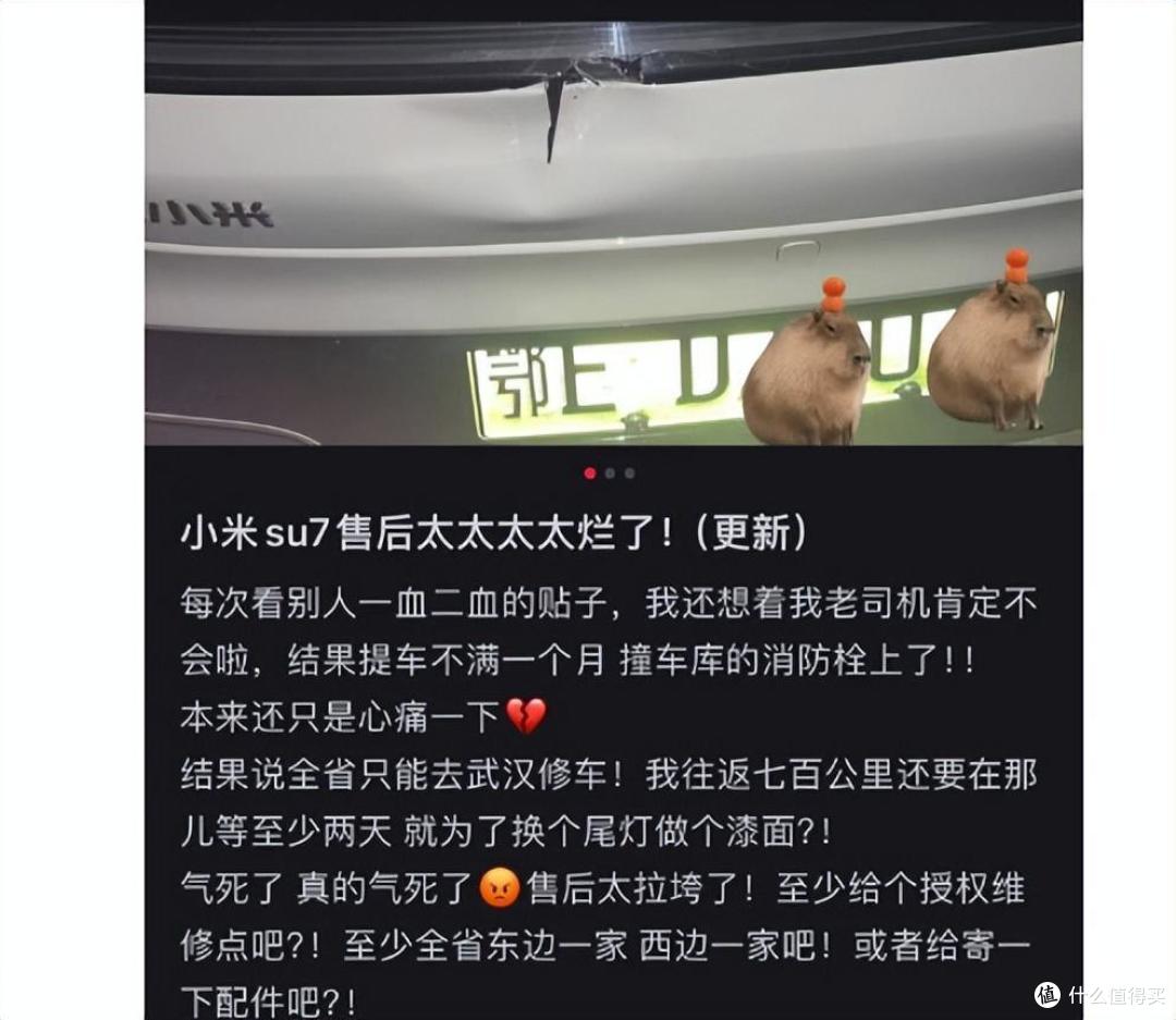 图源：小红书截图
