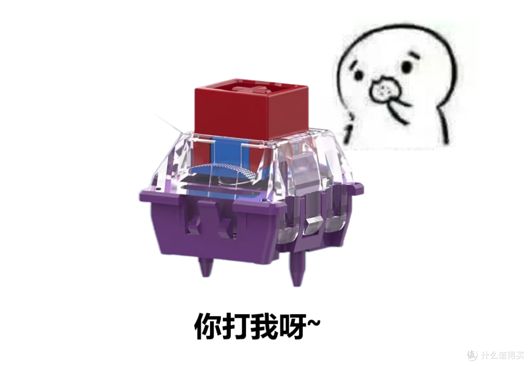 懂不懂6块一颗的含金量?TTC万磁王