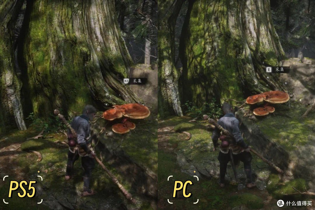 电脑、PS5，谁更适合玩黑猴？游戏画质与帧数对比：PC vs PS5