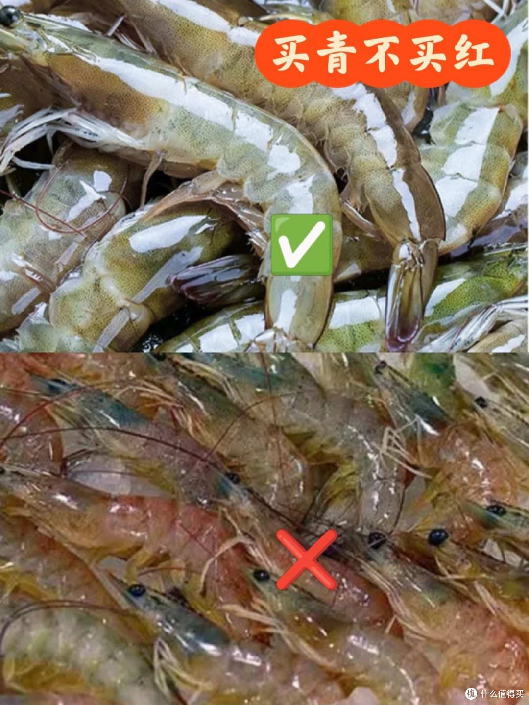 海鲜季来袭,如何成为挑选海鲜的高手?
