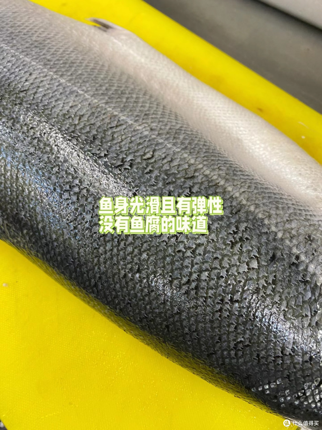 海鲜季来袭,如何成为挑选海鲜的高手?