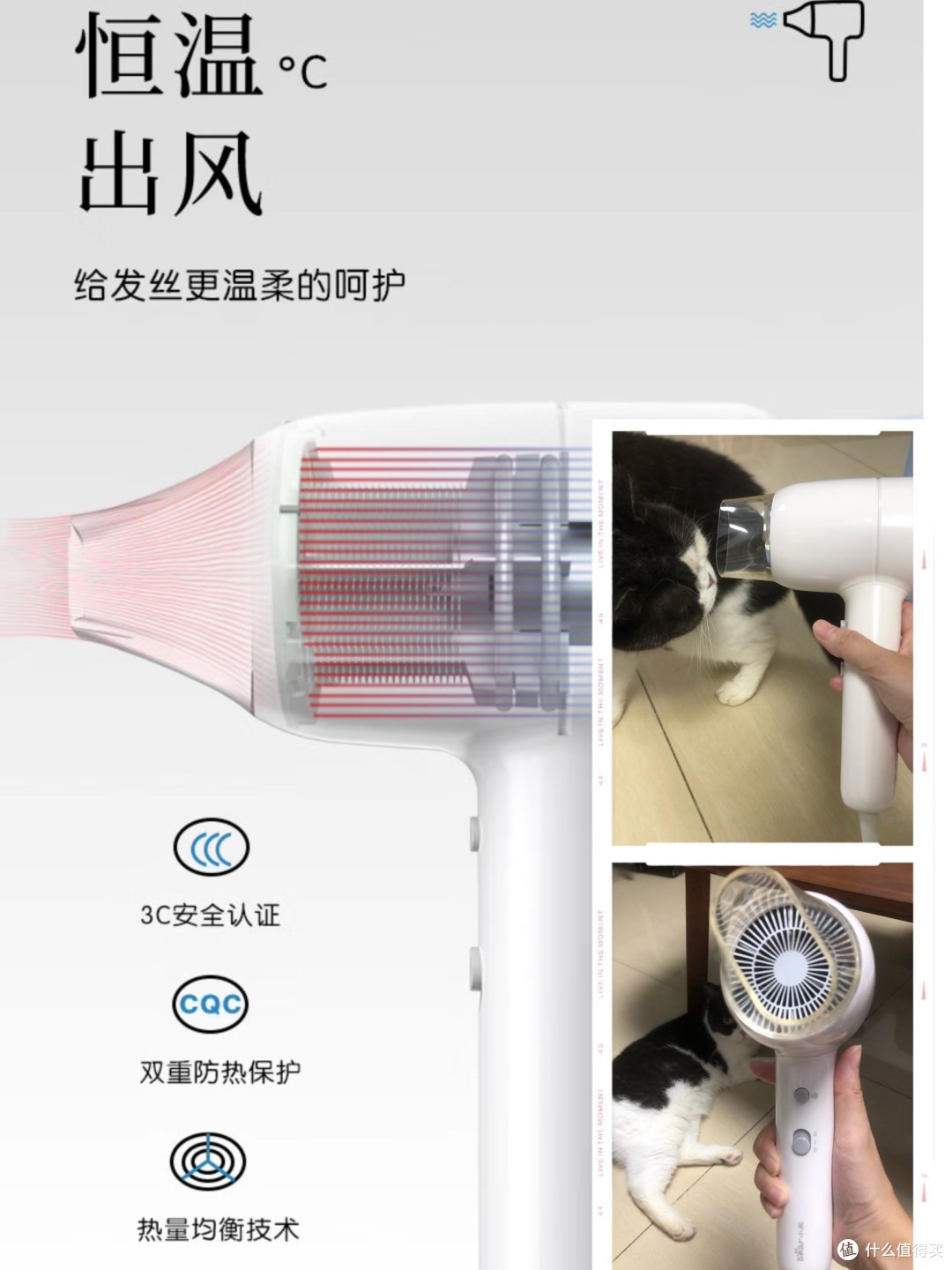 小熊迷你吹风机:百元内的实用之选,功能不输高端款。