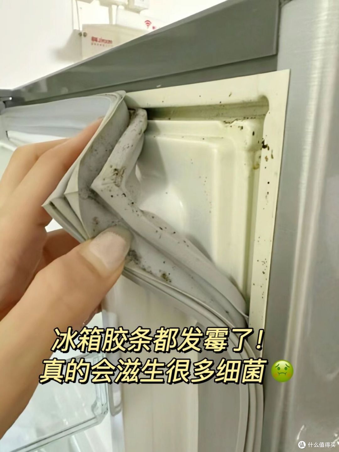 家里这4个东西“巨脏无比”,你天天在用,却浑然不知!