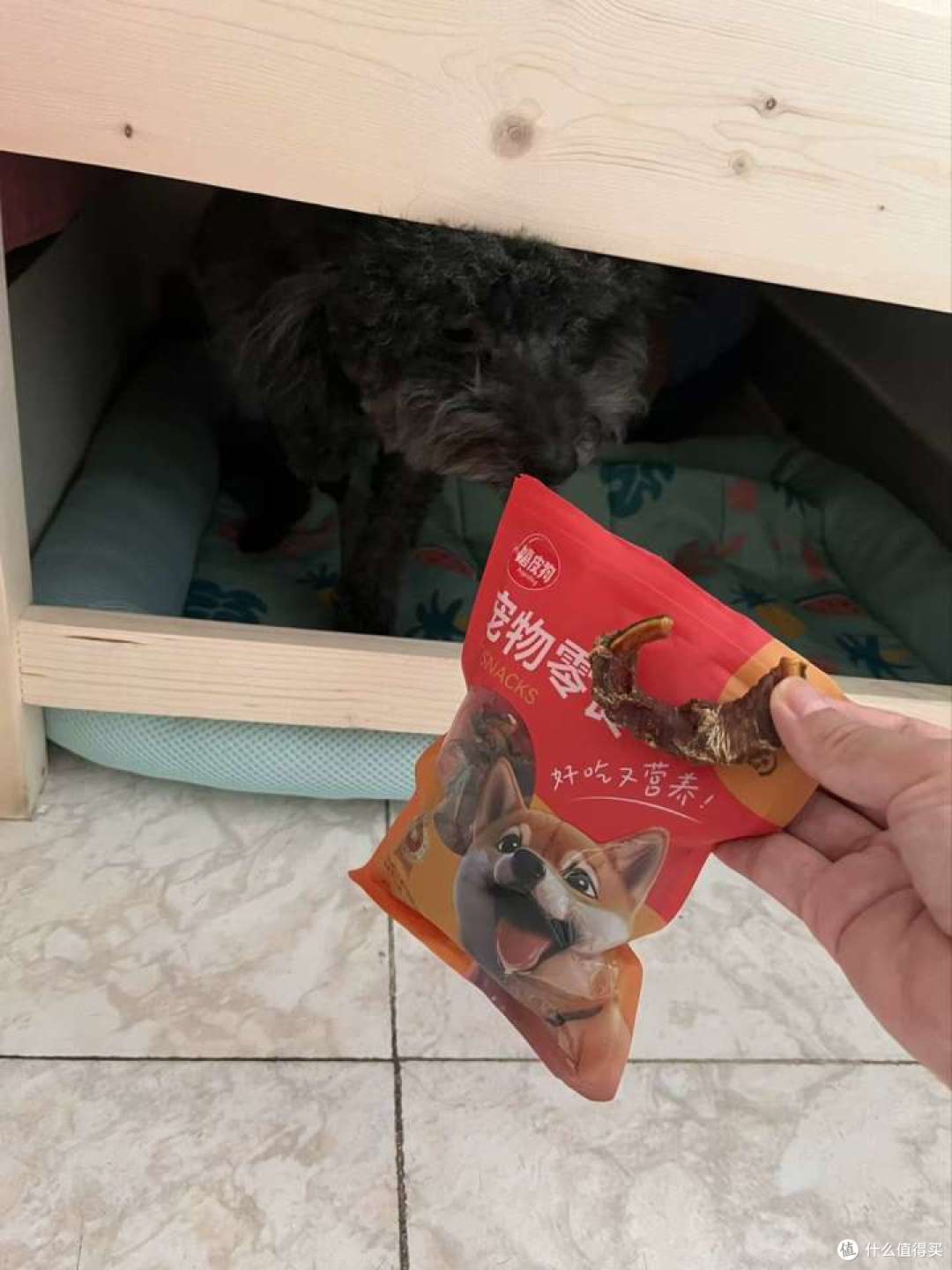 狗狗一定要睡狗窝吗?