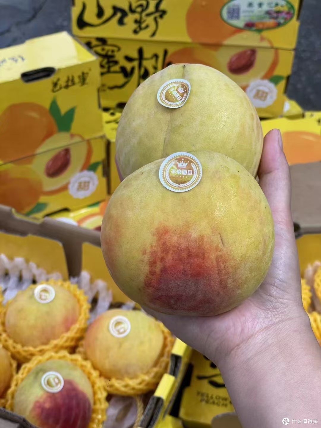 夏日的炎哪能少了水果?