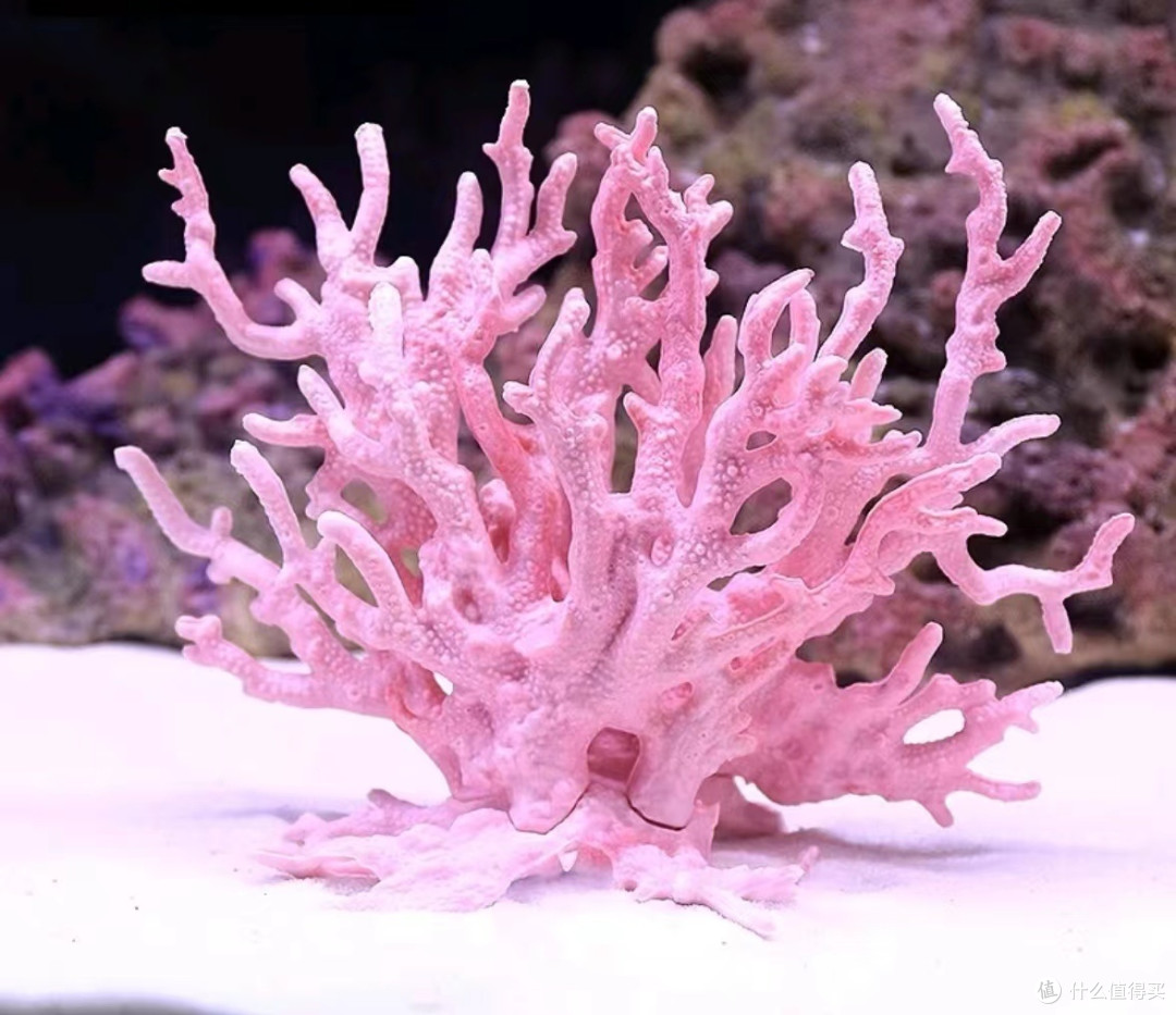 家有宝贝,怎能错过这款超萌鱼缸!