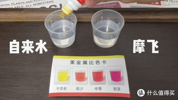 风很大的净饮一体机真的值得买吗?仅用0.1平打造一站式家庭轻养吧,摩飞养生净饮机沉浸式测评!