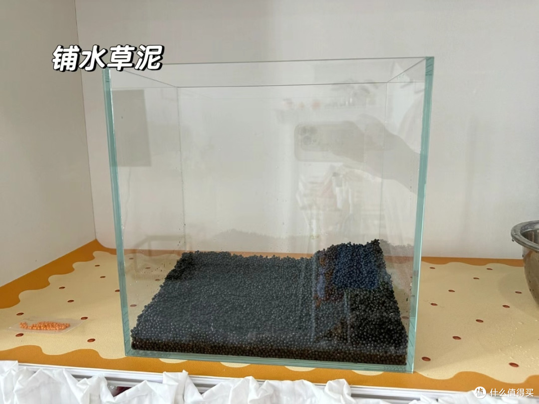 草缸新手入门全攻略:从零打造你的水下绿洲