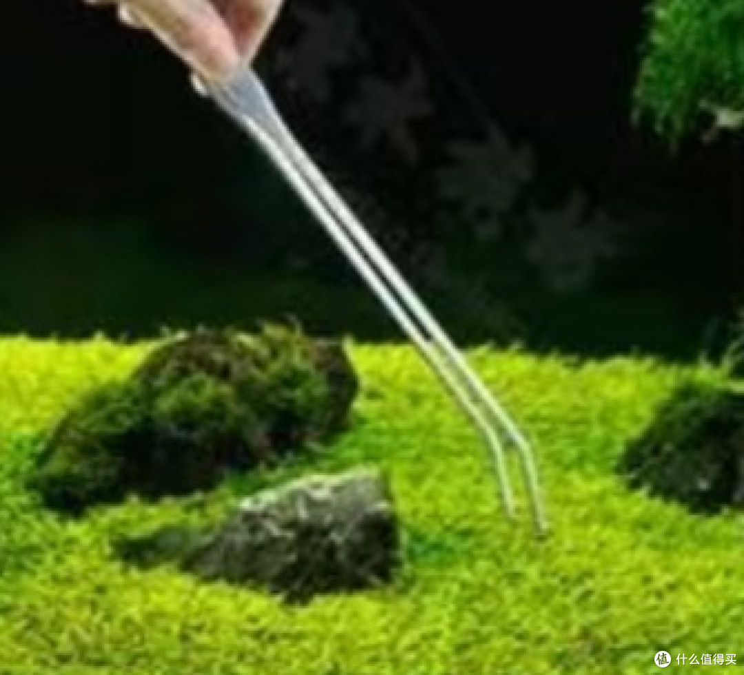 创意无限!这些鱼缸造景工具让你的鱼儿更快乐