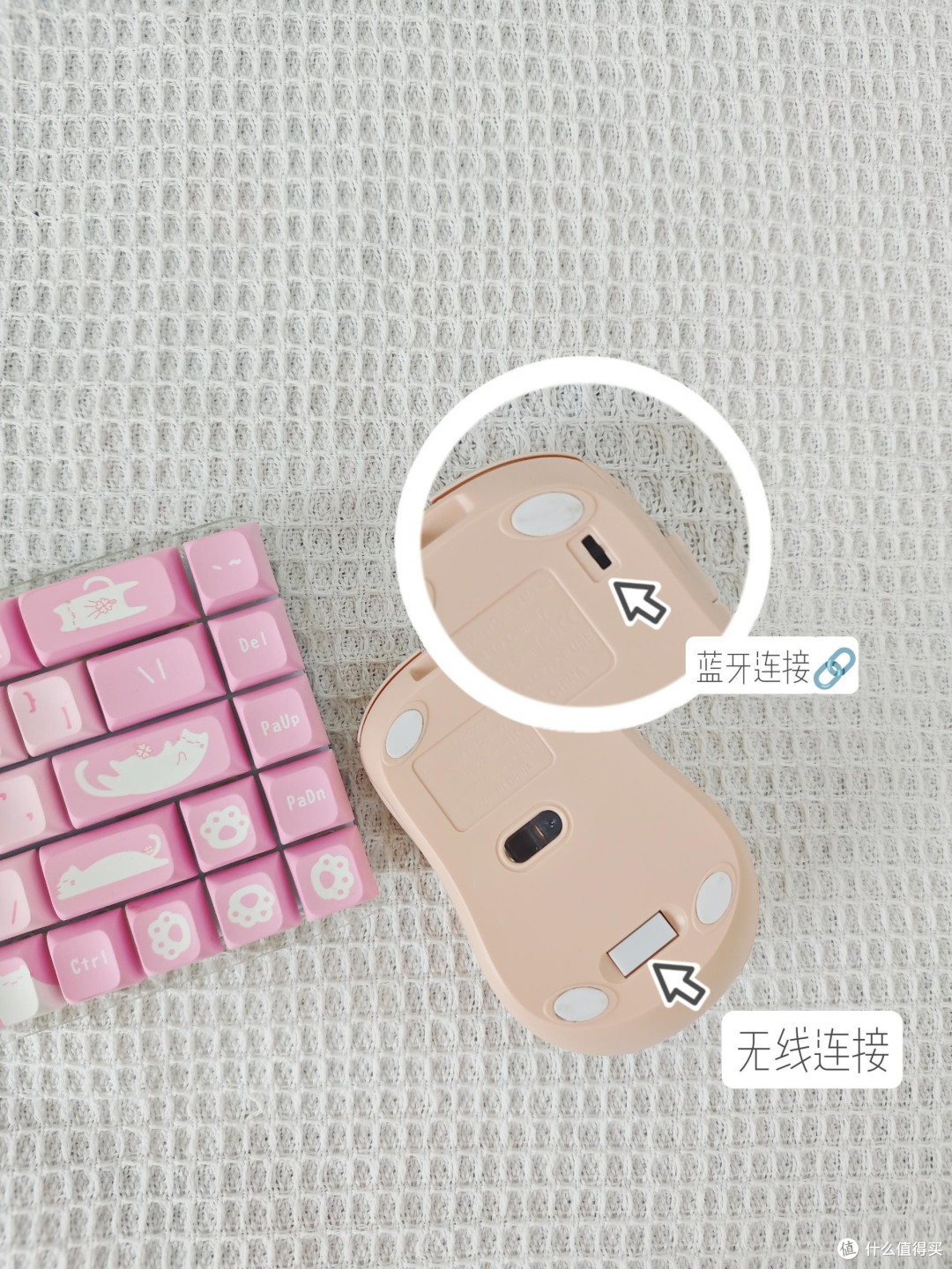 电萝卜 AI 鼠标:打工人的效率神器