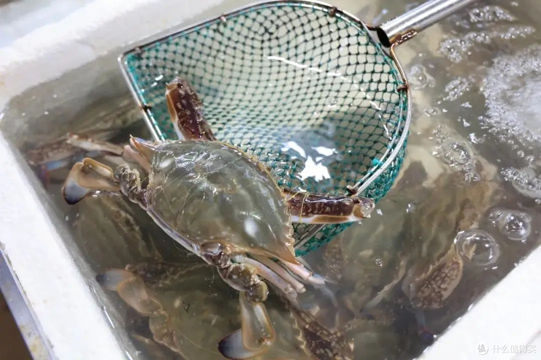 活海鲜选购指南:让你成为海鲜达人!