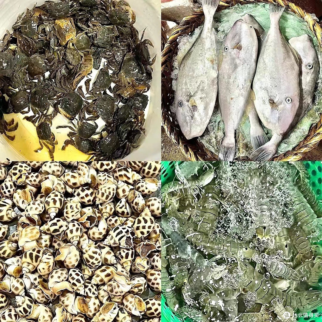 尝鲜必去！海鲜市场里的隐藏美味