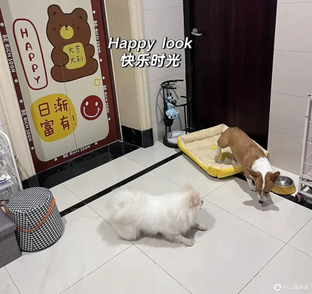 有一种幸福叫搬进了“一梯一户”!入住两年,真后悔没早点买