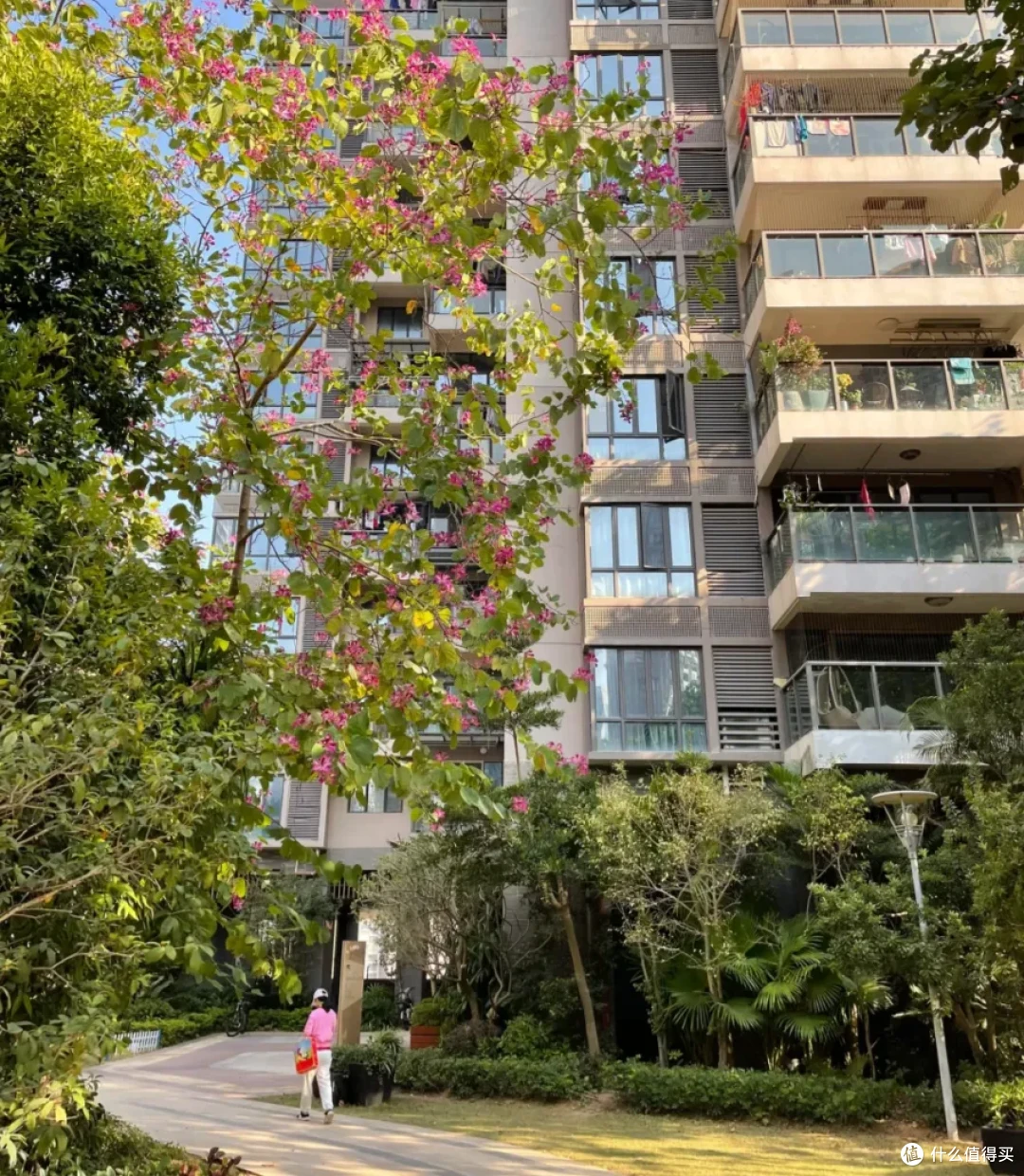 有一种幸福叫搬进了“一梯一户”!入住两年,真后悔没早点买