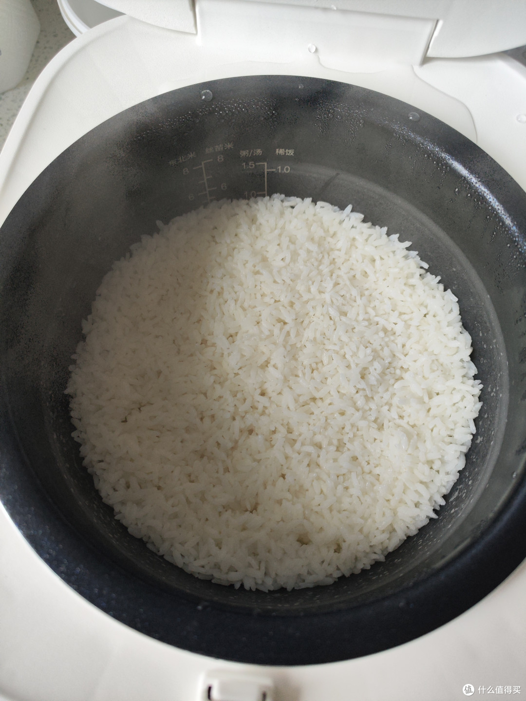 京东京造电饭煲评测:家用煮饭新选择