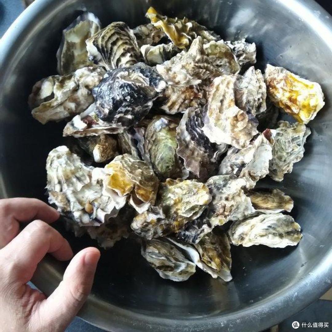 蒜蓉生蚝家常秘籍：开渔季的美味加料，轻松上手！