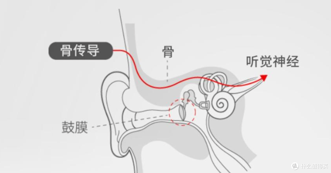 骨传导音质也能这么好?NANK南卡Runner Pro 5骨传导运动耳机体验-为运动而生!