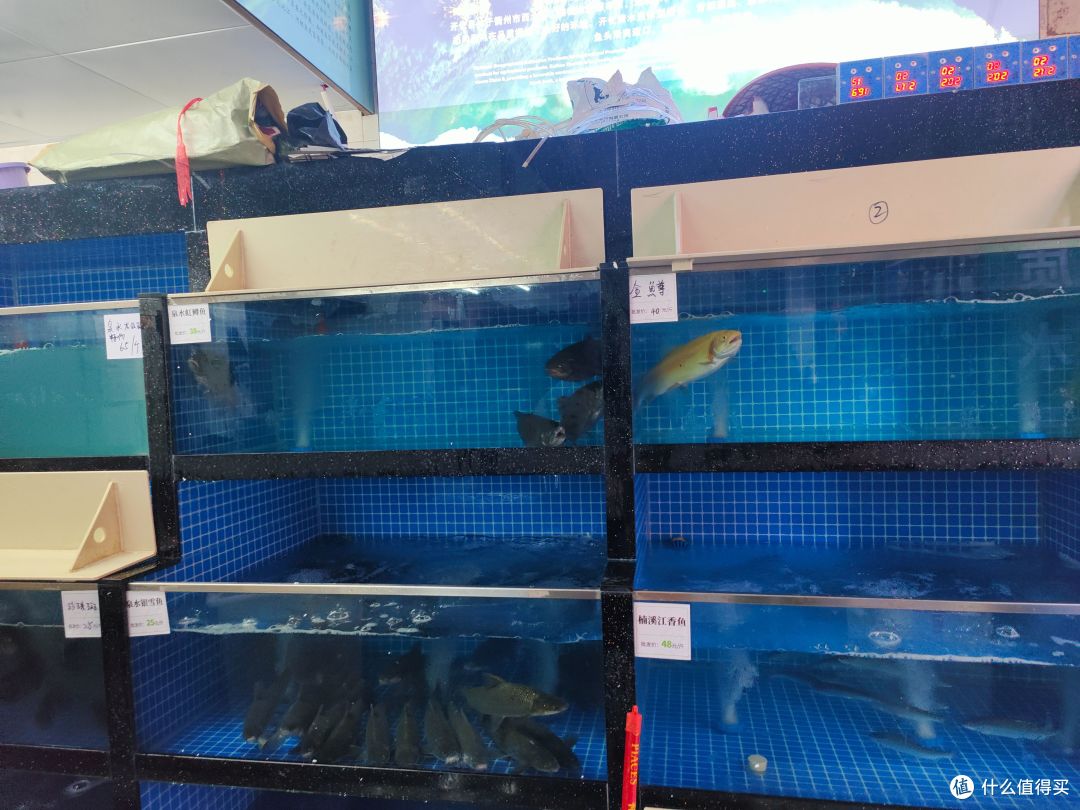 非临海城市水产市场价格探秘(多图实拍)