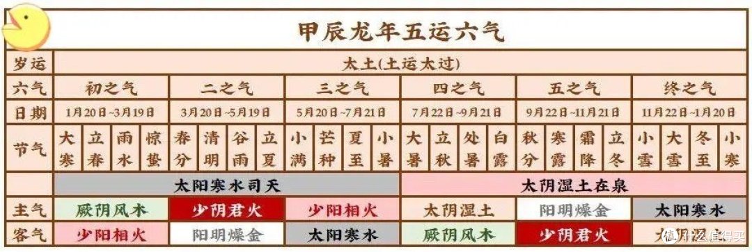 末伏吃什么?试试这1豆1花,让你轻松化解体内痰湿~