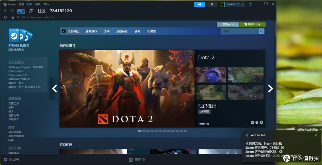 啥？Steam 还要代安装？
