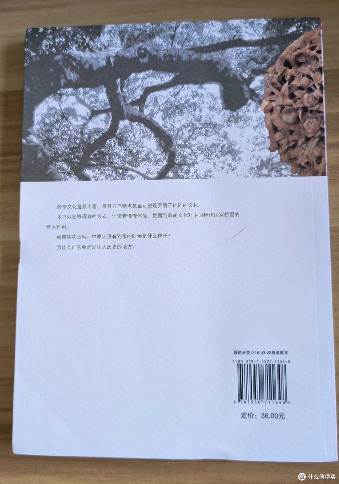 《田野上的史记》:揭秘岭南田野深处的文化密码!