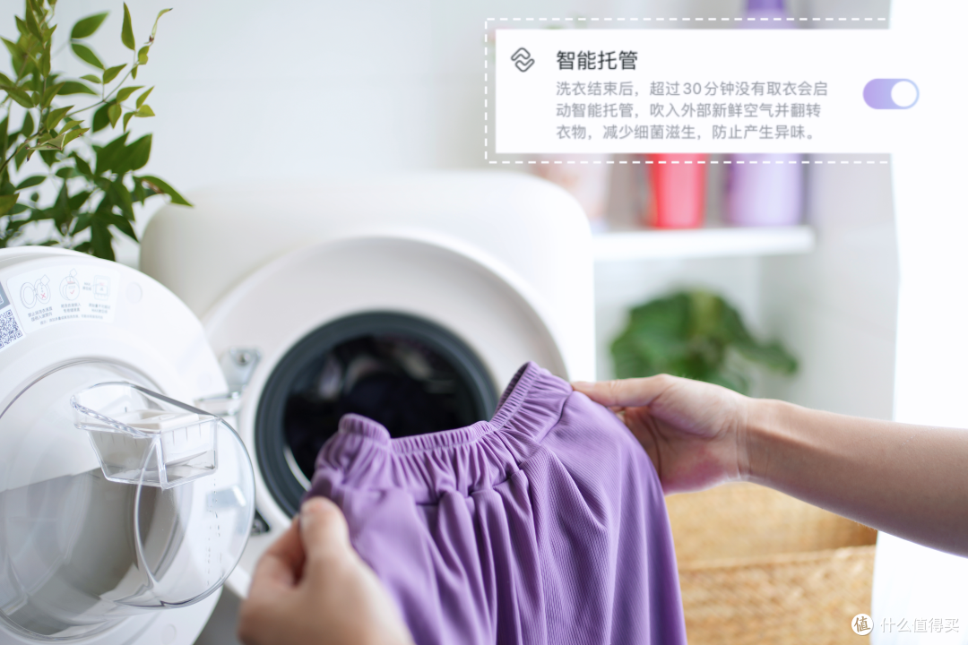 小户型也能拥有分类洗的快乐!石头Q1迷你洗烘一体机 能洗能烘能除菌 功能简直不要太全面