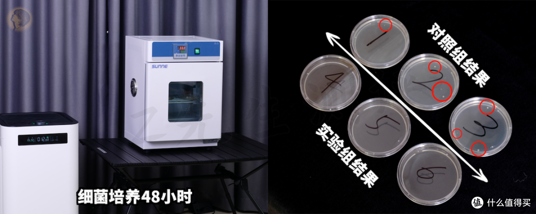 IAM 长效除醛净化器 M8 Pro 值得入手吗？是真除醛还是噱头？附IAM M8 Pro真机测评体验