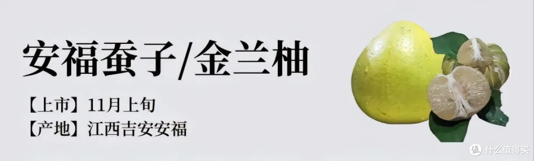什么样子的柚子才好吃，一次说清楚这些柚子品种的特点