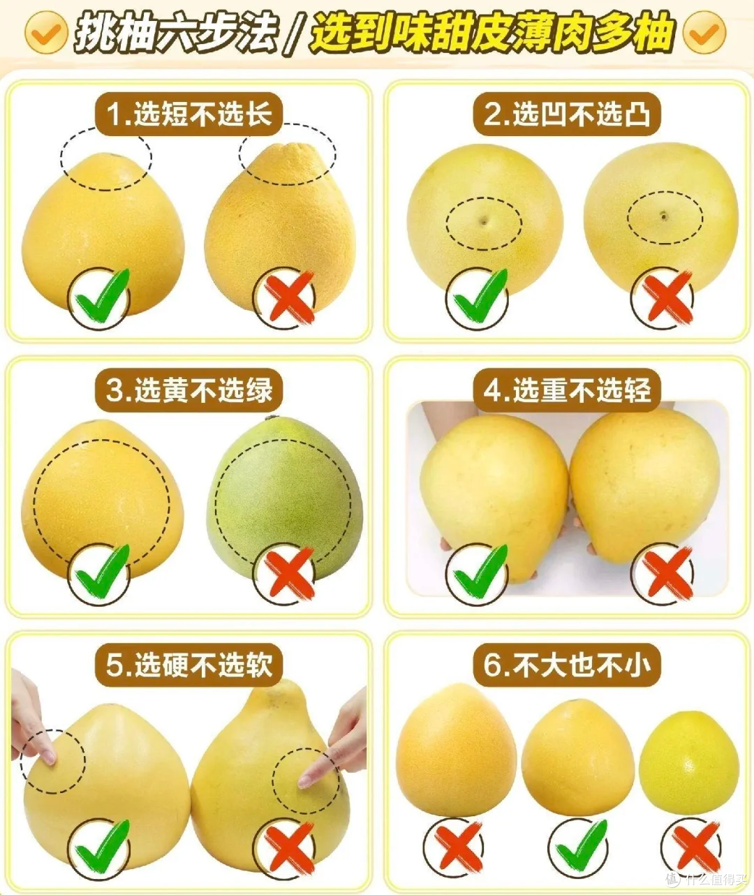 什么样子的柚子才好吃，一次说清楚这些柚子品种的特点