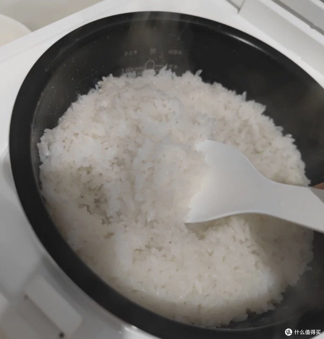 一家四口买3l还是4l电饭煲好？电饭煲升数怎么选？