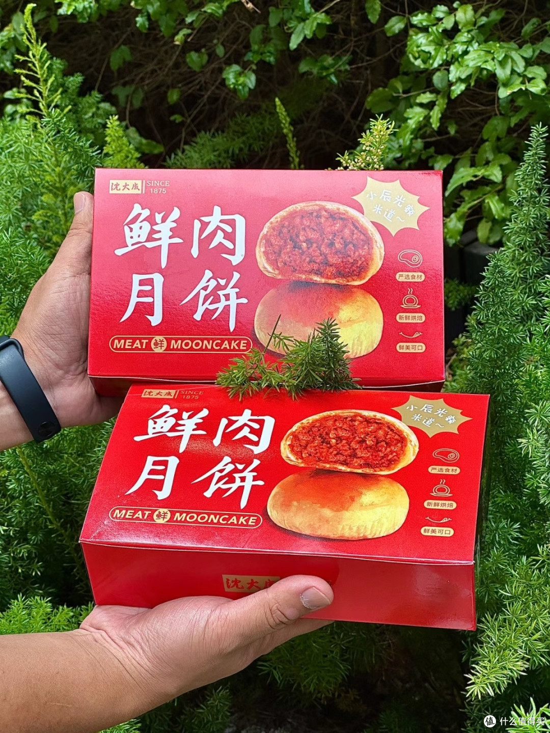 中秋团圆,沈大成月饼伴你共度温馨时光
