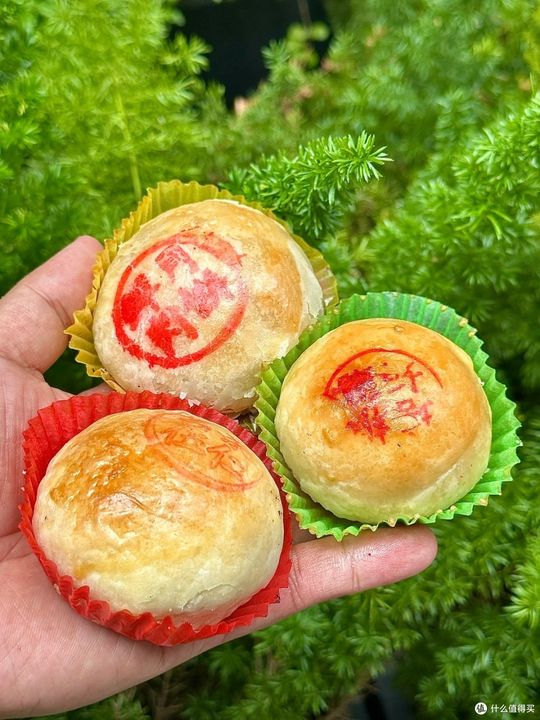 中秋团圆,沈大成月饼伴你共度温馨时光