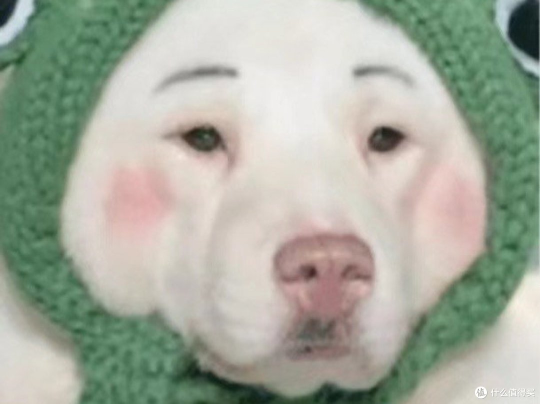 今年终于买对了月饼❗被全家人夸🥰