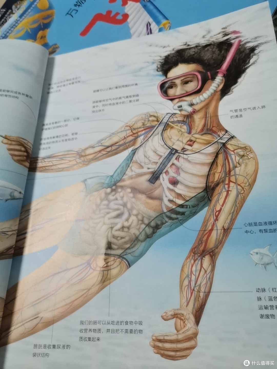 万物运转的秘密，你想了解吗？_科学技术_什么值得买