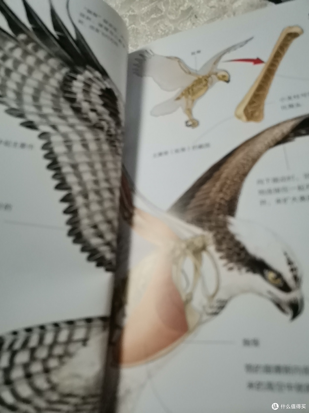 万物运转的秘密，你想了解吗？_科学技术_什么值得买