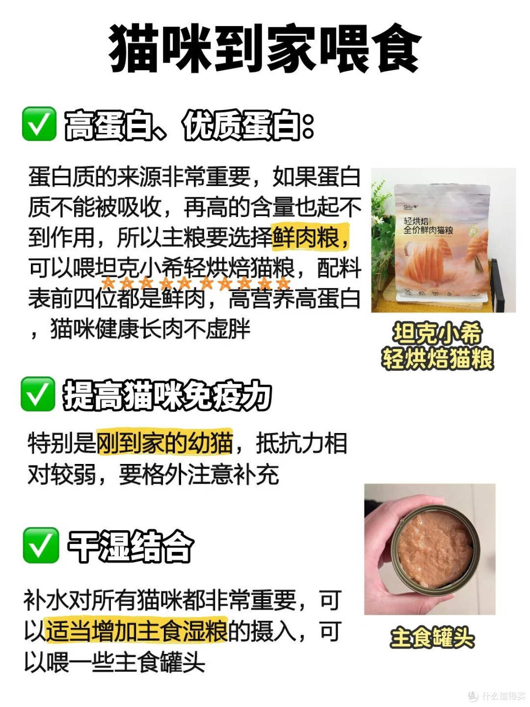 新手养猫指南:必备知识与实用技巧
