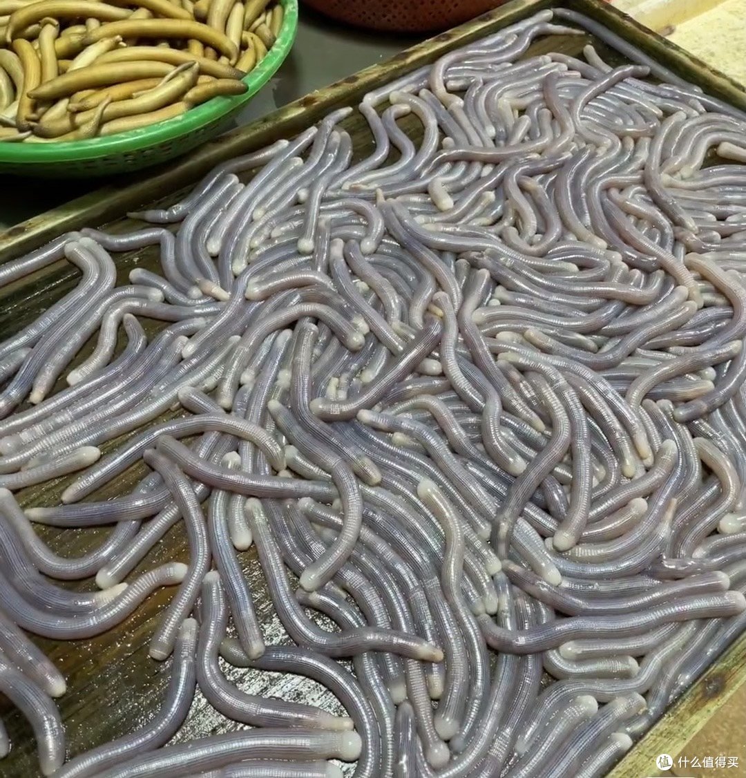你吃过沙虫月饼吗？今年中秋送礼，试试送沙虫月饼吧～