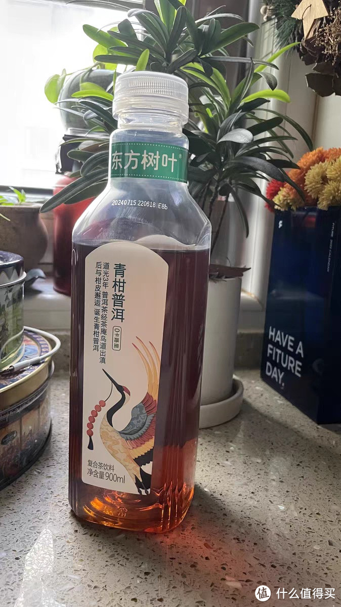 也可以尝尝乌龙茶